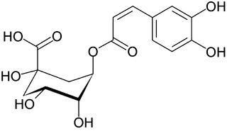 Chlorogenic_acid