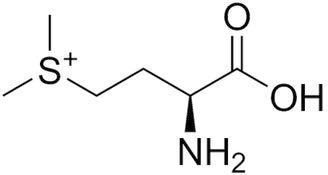 S-methylmethionine 