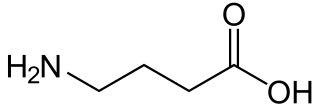 gamma-aminobutyric_acid